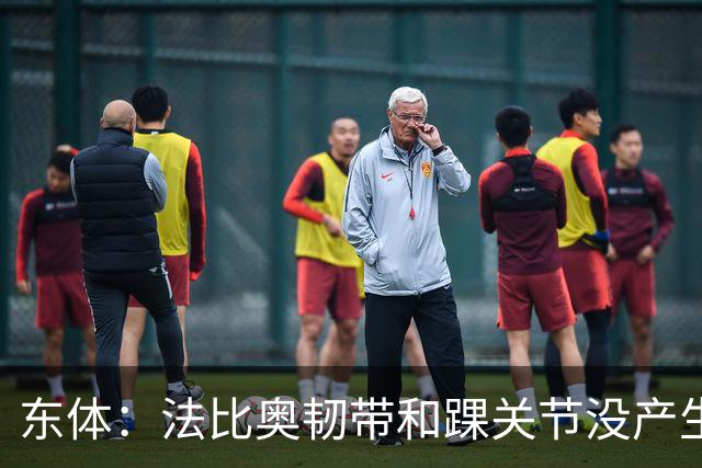 东体：法比奥韧带和踝关节没产生其他伤情，保守治疗或需三个月