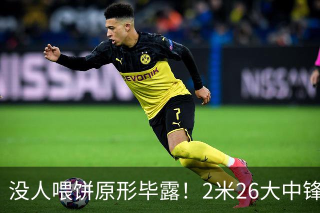 没人喂饼原形毕露！2米26大中锋仅5分2板，球迷：杜锋真没骂错你