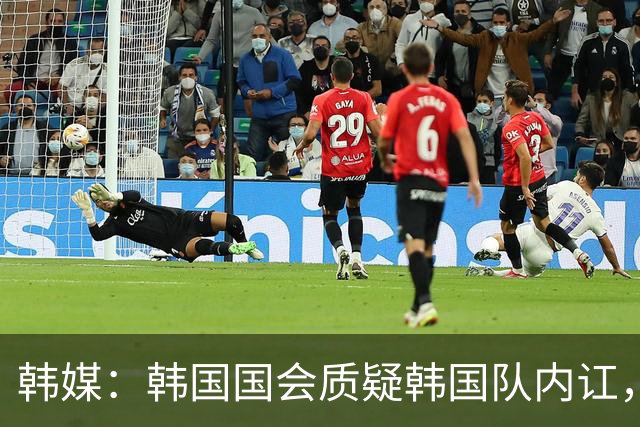 韩媒：韩国国会质疑韩国队内讧，孙兴慜被队友称为“7号那位”